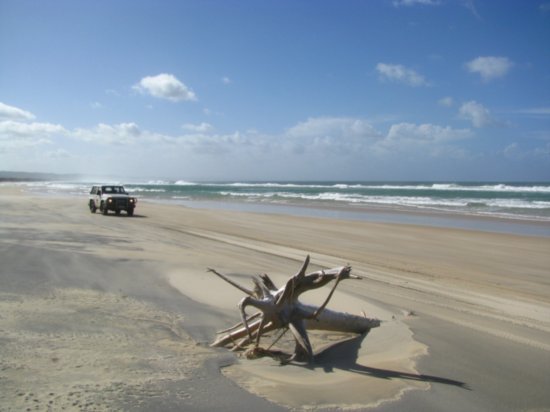 Beach Driving